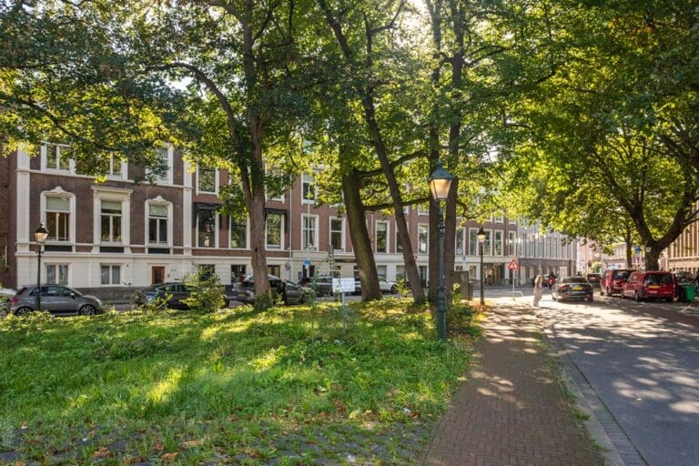Anna Paulownastraat 113 B